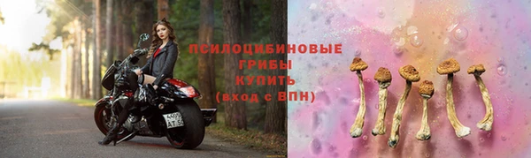 крисы Касимов