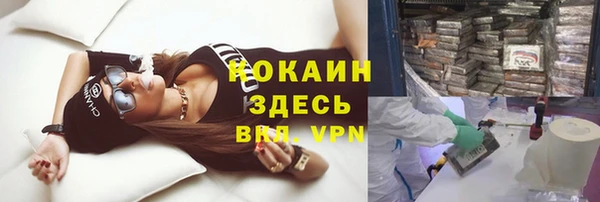 крисы Касимов