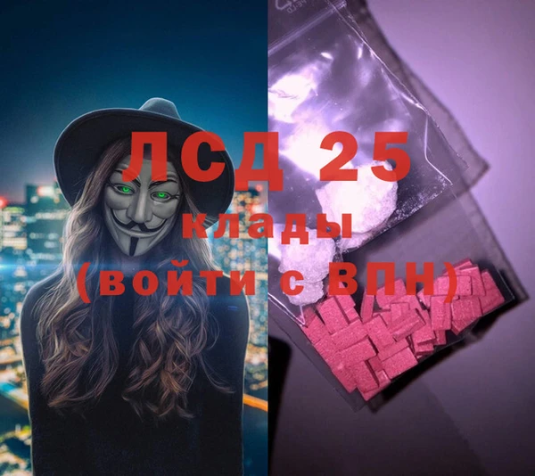 крисы Касимов