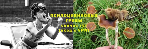 крисы Касимов