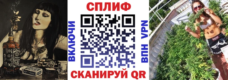 Бошки Шишки планчик  Суровикино 